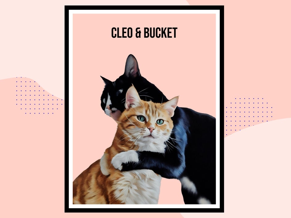 cleo-and-bucket
