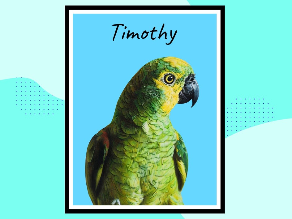timmy