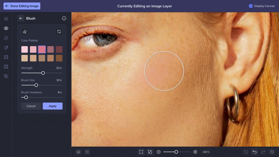 Close up of Blush tool applied to cheeks of female portrait.