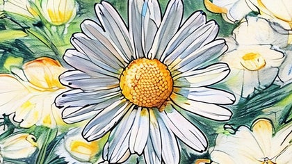 A detailed and colorful sketch of daisies, created using BeFunky's Colored Pencil sketch tool to mimic natural colored pencil textures.